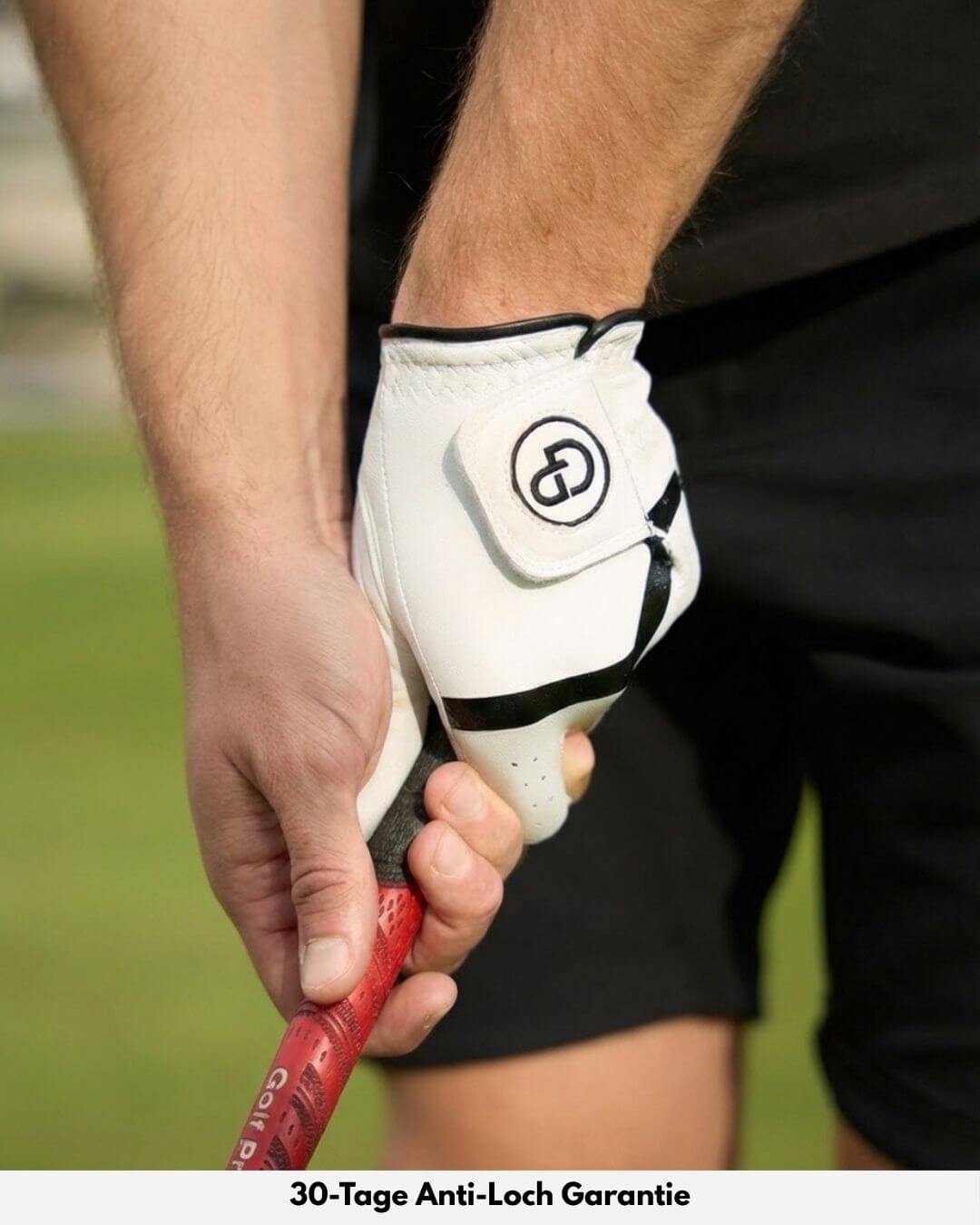 GP Cabretta Pro 2.0